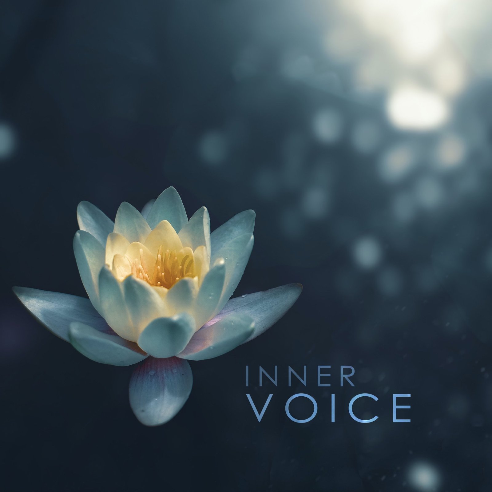 Voice cover artwork